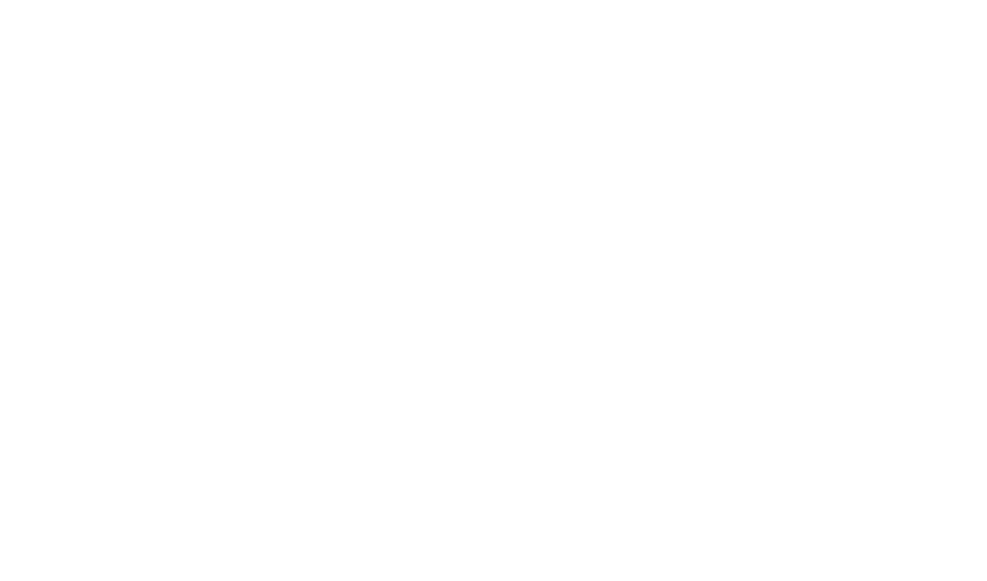 napp logo